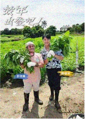 一起搭个家 综艺在线观看资源